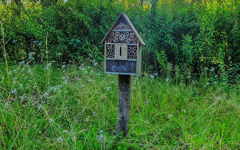 hotel a insecte correze